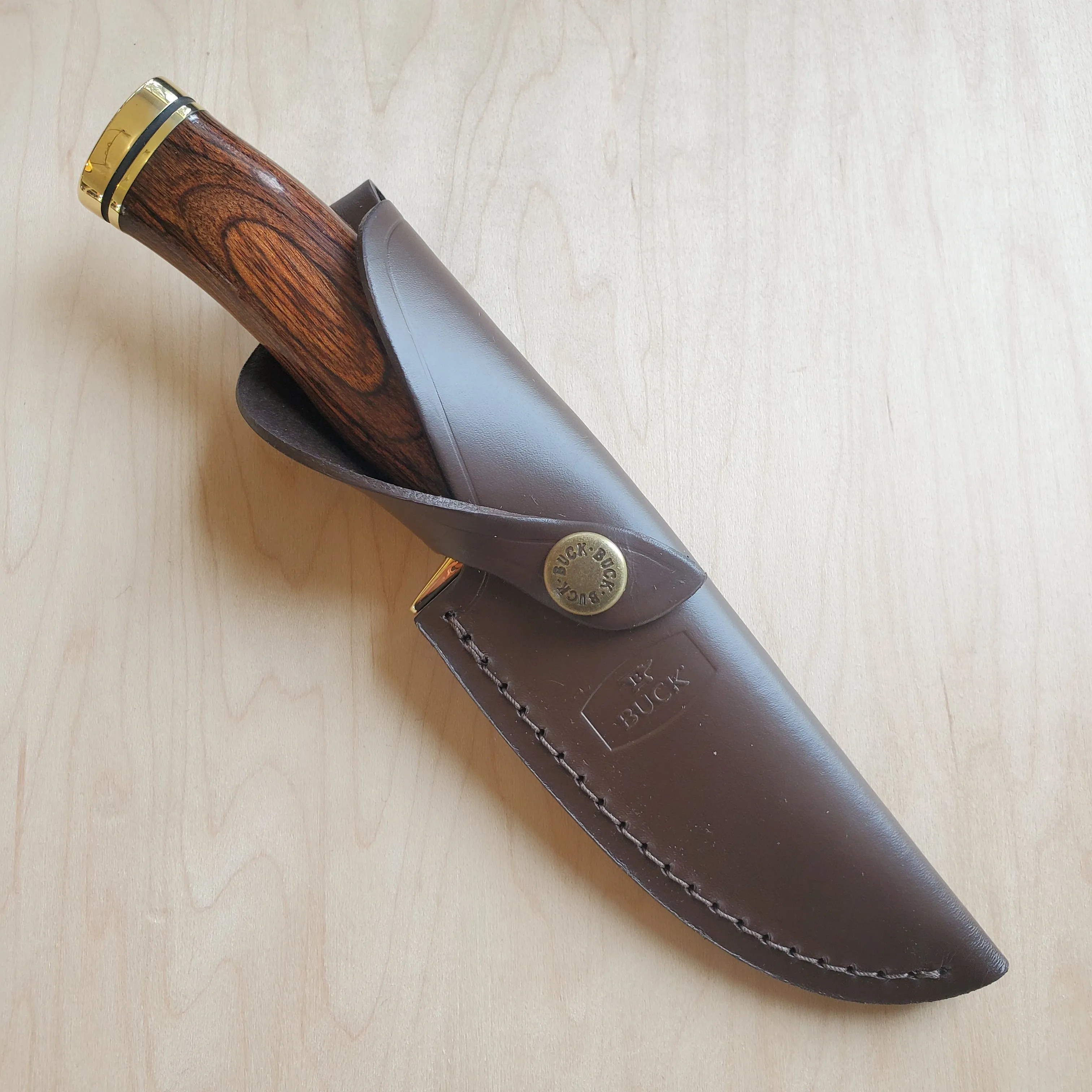 Buck 192 Vanguard Hunting Knife